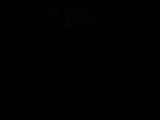 Záznam