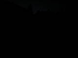 Záznam