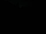 05 : 48