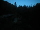 19 : 24