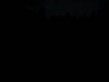 19 : 32