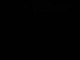 19 : 36
