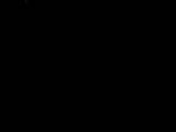 Záznam