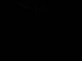 Záznam