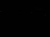 19 : 04
