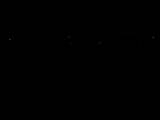 19 : 44