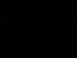 20 : 04