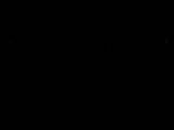20 : 04