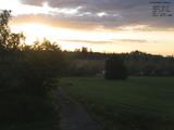 20 : 24