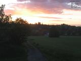 20 : 40
