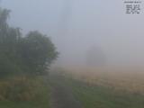 06 : 44