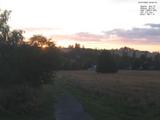 20 : 44