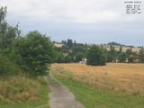 19 : 20