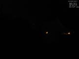 23 : 24