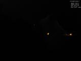 00 : 24