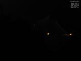 00 : 28