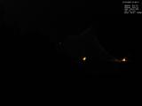 01 : 36