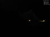 01 : 52