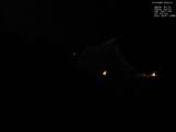 02 : 04