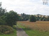 16 : 36