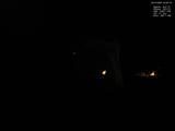02 : 20