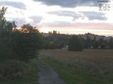 20 : 40