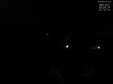 00 : 12