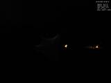 02 : 36