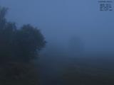 05 : 52