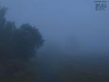 05 : 56