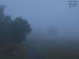 06 : 00