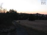 20 : 32
