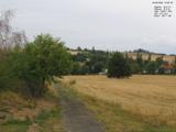 13 : 20