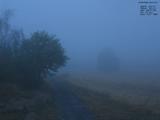20 : 12