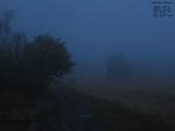 20 : 28