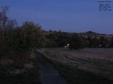 Záznam