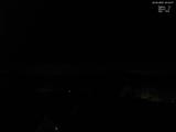 20 : 40