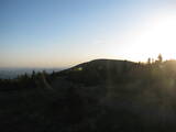 20 : 16