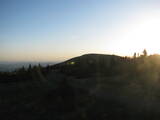 20 : 20
