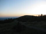 20 : 40