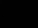 00 : 00