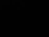 03 : 36