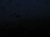 04 : 04