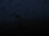 04 : 08