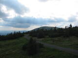 17 : 20