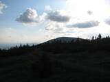 19 : 20