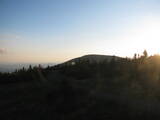 20 : 20