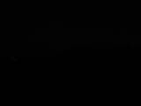 03 : 04