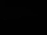 00 : 00