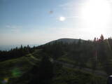 19 : 20